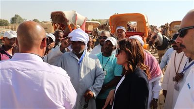 نائب محافظ الجيزة تتابع منظومة الخيل والجمال بالأهرامات