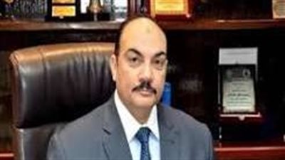 استاذ علوم سياسية: مؤسسات الدولة حمت الوطن وقادت مرحلة البناء بعد 3 يوليو