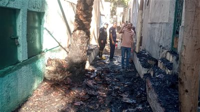 السيطرة على حريق بأشجار نخيل داخل مقابر بهتيم بشبرا الخيمة دون إصابات