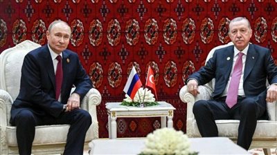 وزير الخارجية التركي: أردوغان على اتصال دائم مع بوتين بشأن القضايا الإقليمية