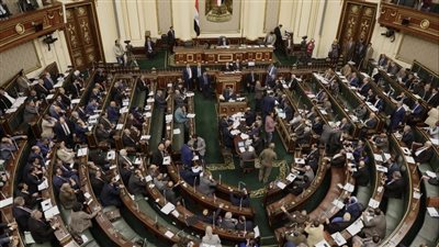 وزير الشئون النيابية: أرجو ألا يتم تجاهل وجود الحكومة بمناقشات قانون مستقبل مصر 