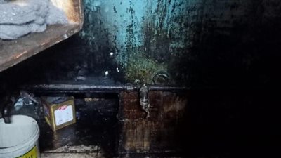 صحة القليوبية تضبط نصف طن زيت طعام مجهول المصدر وتوصي بغلق منشأة غير مرخصة