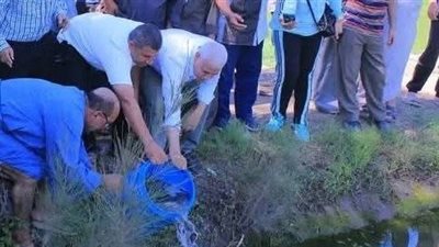 الشرقية توسع مشروع الاستزراع السمكي في حقول الأرز