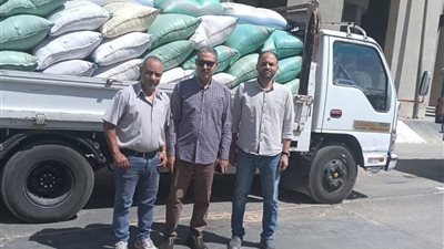  توريد 242 ألف و500 طن من القمح المحلي لشون وصوامع أسيوط