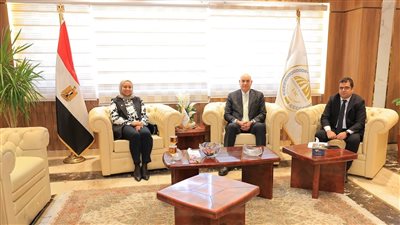 رئيس جامعة مدينة السادات يبحث الشراكة مع معهد تكنولوجيا المعلومات 