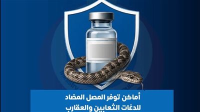 عاجل.. 