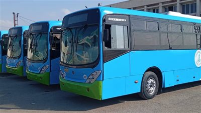 الإسكندرية ترفع الجاهزية لخدمة جماهير الفراعنة