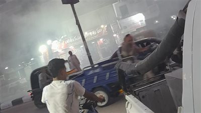 تكثيف حملات مكافحة الناموس والحشرات بالشرقية