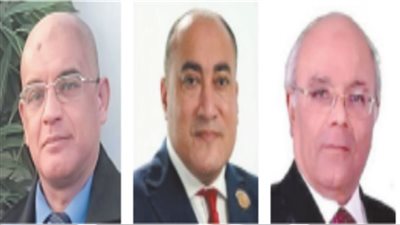 الإصلاح السياسى يبدأ من بوابة المحليات