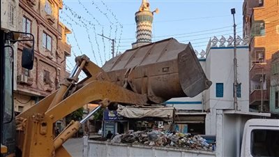 حملة نظافة موسعة بنجع حمادى بالترفع أكثر من 54 طنًا من القمامة 
