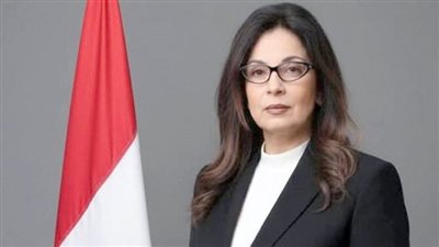  نظر إشكال المحامي علي أيوب لوقف تنفيذ حكم حبسه فى تهمة سب وزيرة الثقافة السابقة