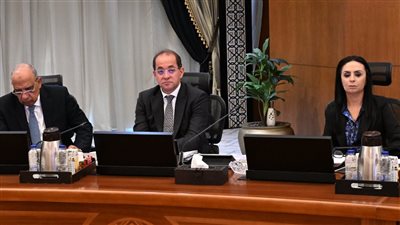 وزير الكهرباء يستعرض القدرات الحالية والمُخططة من الطاقات المتجددة