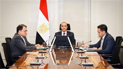 وزير الخارجية يبحث مع وزير خارجية سيشل سبل تعزيز العلاقات الثنائية