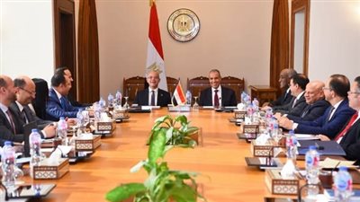 وزيرا الخارجية والاستثمار يبحثان التنسيق وتكامل الجهود لدعم استثمارات الشركات المصرية بإفريقيا