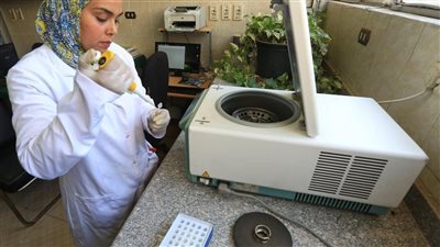 الزراعة تعلن جهود المعمل المركزي لفحص البطاطس خلال يونيو