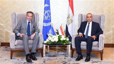 وزير الخارجية يلتقي المدير العام للوكالة الدولية للطاقة الذرية بمدينة العلمين