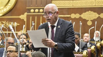 حازم الجندي: التلاحم الشعبي مع المنتخب يجسد قوة الرياضة في تعزيز الانتماء