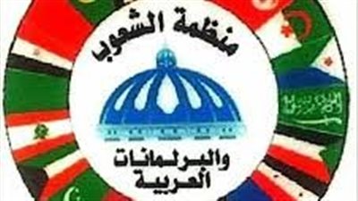 أمين مساعد منظمة الشعوب العربية: ثورة 30 يونيو أنقذت مصر من مخطط إسقاط الدولة