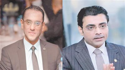 مصر ما بعد الصندوق