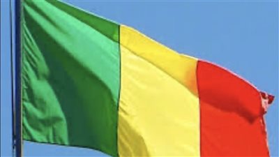 بعد هجوم إرهابي.. الجيش المالي يعلن استعادة مدينة أنيفيس