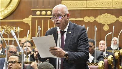 حازم الجندي: التشاور المصري الإماراتي يعزز قدرة المنطقة على مواجهة التحديات الإقليمية