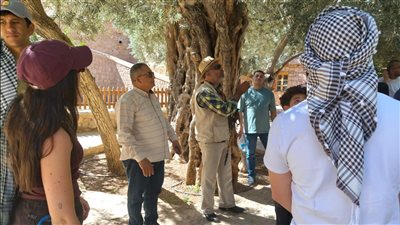 دير سانت كاترين يدخل مجال الطاقة النظيفة 