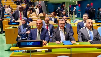 وزير الري يشارك في الجلسة الافتتاحية للمنتدى السياسي رفيع المستوى للتنمية المستدامة بالأمم المتحدة