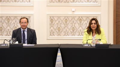 وزيرة التنمية المحلية تستعرض المشروعات المقترحة للتمويل من المرحلة التاسعة لمرفق البيئة العالمي