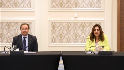 وزيرة التنمية المحلية تستعرض المشروعات المقترحة للتمويل من المرحلة التاسعة لمرفق البيئة العالمي