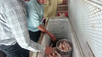 ضبط 510 كجم لحوم ودواجن غير صالحة للاستهلاك بالغربية