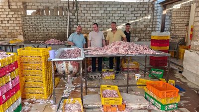الجيزة تضبط 60 طنًا من مقطعات الدواجن والمخللات غير الصالحة للاستهلاك الآدمي 