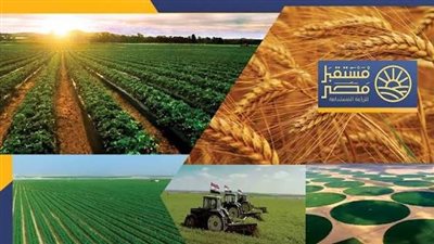 منشأ بقرار جمهوري.. كيف يعيد قانون التنظيم الجديد رسم دور جهاز مستقبل مصر التنموي؟