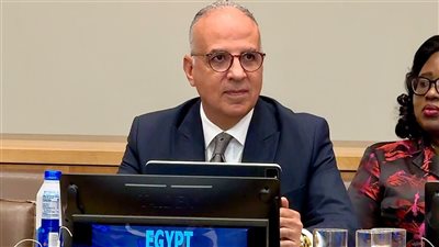 وزير الري يستعرض أعمال الحوار التفاعلي “المياه من أجل الكوكب” في نيويورك