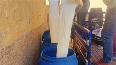 ضبط 450 كيلو لبن غير صالح للاستهلاك الآدمي خلال حملة تموينية بأسيوط