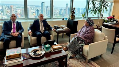 وزير الري يلتقي نائبة الأمين العام للأمم المتحدة لبحث مستقبل الحوكمة العالمية للمياه بنيويورك