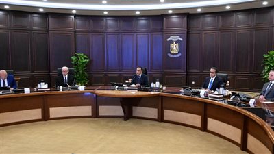 مدبولي: تنفيذ تكليفات الرئيس بشأن العمالة غير المنتظمة والمهن الحرة والعاملين بالخارج