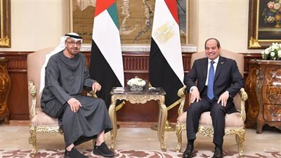أستاذ علاقات دولية: غياب الحلول السياسية يدفع المنطقة نحو المجهول.. وأمن الخليج خط أحمر