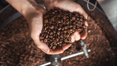 دور القهوة في تكوين الجسم وبناء العضلات