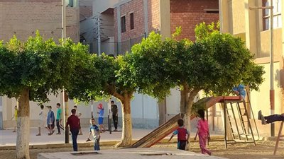 متابعة ميدانية مكثفة للهيئات الشبابية والرياضية بأسيوط