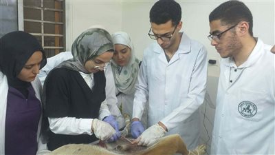 عضو نقابة الأطباء: نشهد 
