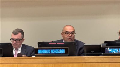 محيي الدين: توطين أهداف التنمية المستدامة يتطلب وصول التمويل والموارد إلى المدن والقرى