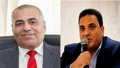 43 مليار دولار.. كيف أصبحت تحويلات المصريين ركيزة للاقتصاد الوطني المصري؟