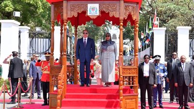 بالصور| تفاصيل مباحثات الرئيس السيسي مع رئيسة جمهورية تنزانيا المُتحدة بمدينة دار السلام