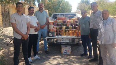ضبط مخللات فاسدة وعبوات عسل ومقرمشات مجهولة المصدر بالفيوم 