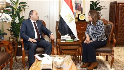 وزيرة التنمية المحلية والبيئة تتابع مع رئيس هيئة تنمية الصعيد المشروعات التنموية 