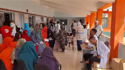 رعاية صحية متكاملة لأهالي حلايب مع انطلاق القافلة الطبية لجامعة حلوان 