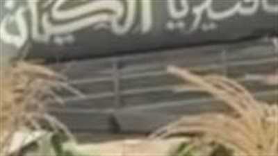 حريق يلتهم مقهى بقرية شنوان في المنوفية