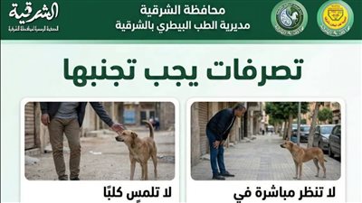  أزاي تتعامل مع الكلاب الضالة.. نصائح مهمة لبيطري الشرقية| صور 