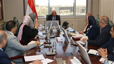 وزير الكهرباء يبحث مع محافظ الوادي الجديد سبل دعم الاعتماد على الطاقات المتجددة