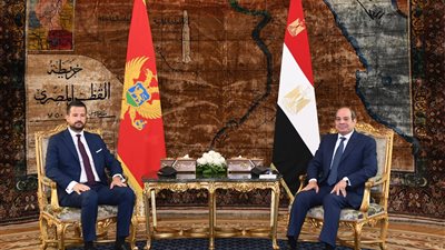 السيسي: حريصون على استكشاف آفاق جديدة لتطوير العلاقات مع جمهورية الجبل الأسود